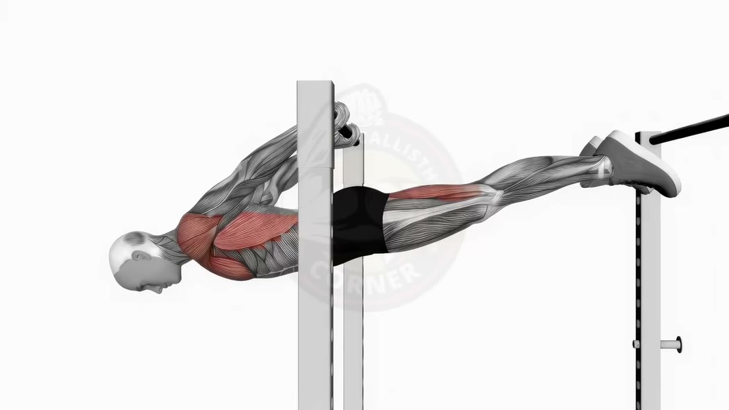 Animation de la technique du back lever en callisthénie