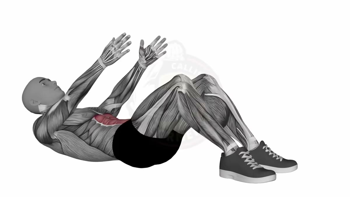 Animation de la technique du crunch abdos