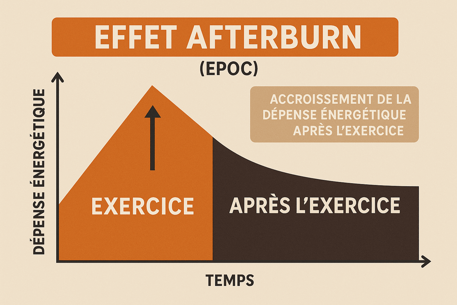 Effet Afterburn : Comment on brûle encore des calories 48h après un entraînement de callisthénie
