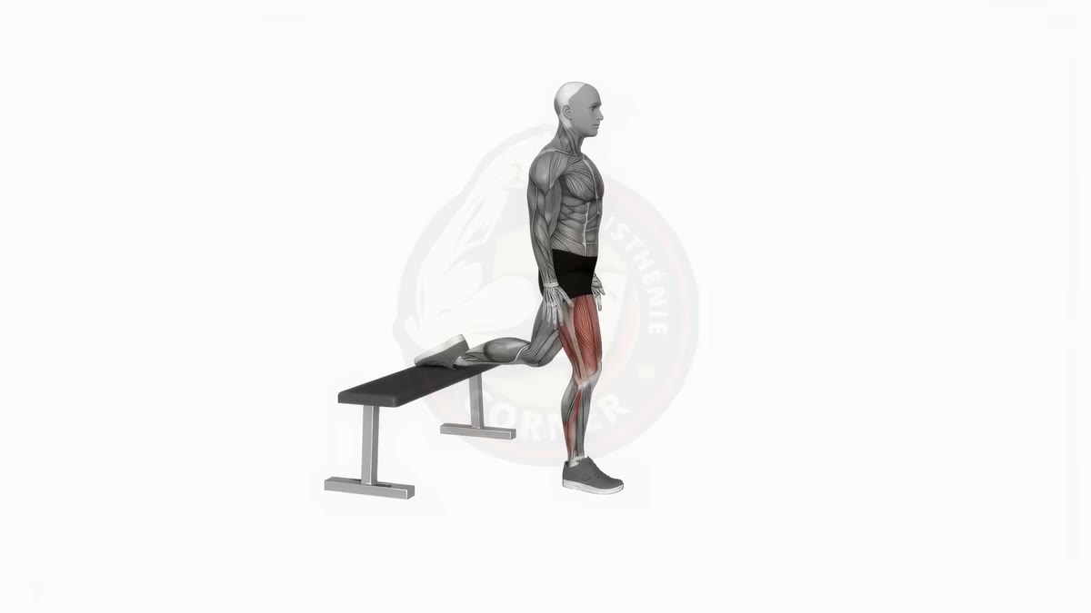 Animation de la technique des fentes bulgares (squat bulgare)