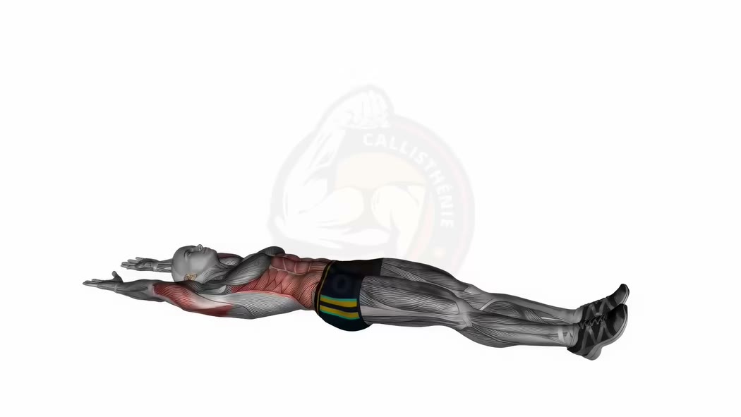 Animation du gainage banane (hollow hold) - technique complète