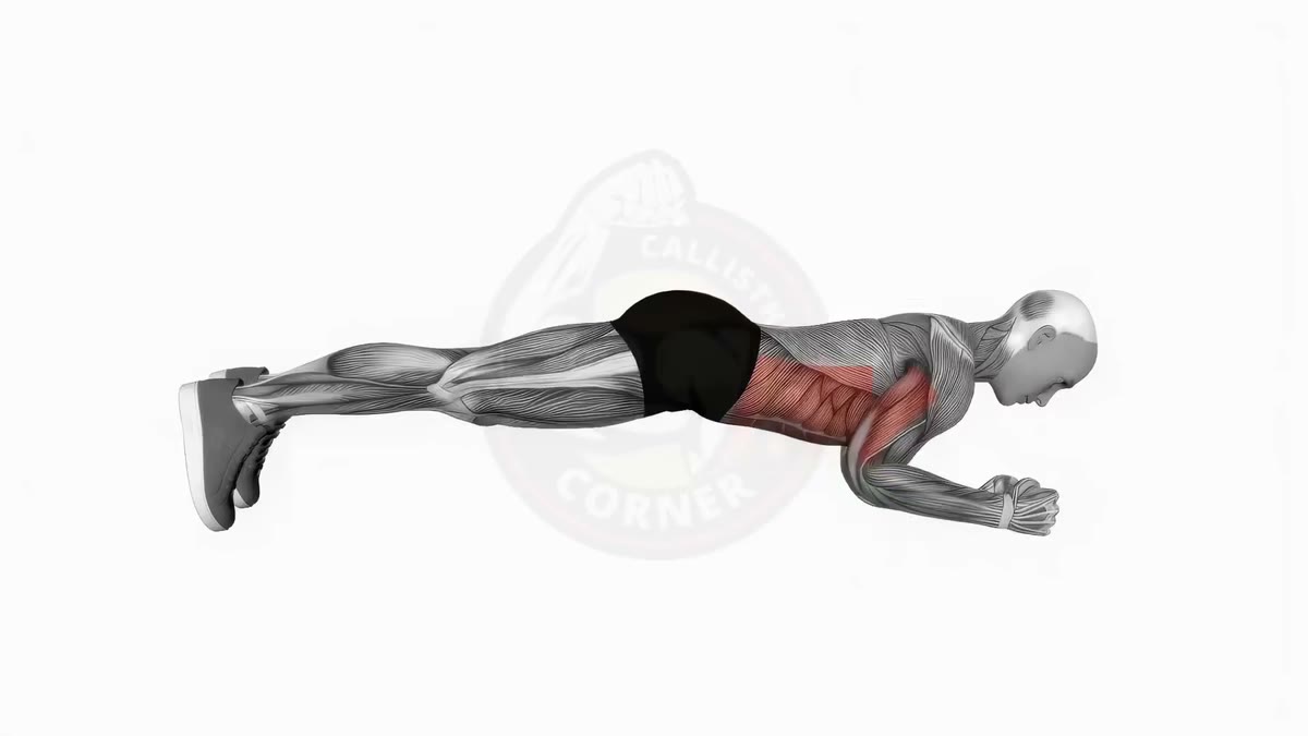 Gainage militaire (planche commando) : passage de la planche sur les coudes à la planche sur les mains