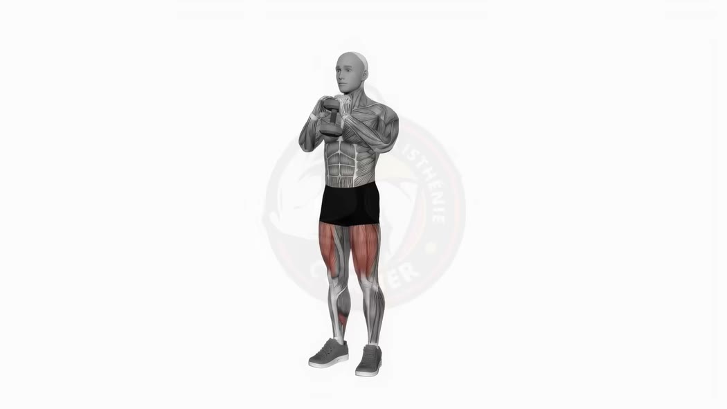 Animation du goblet squat avec haltère - technique et posture