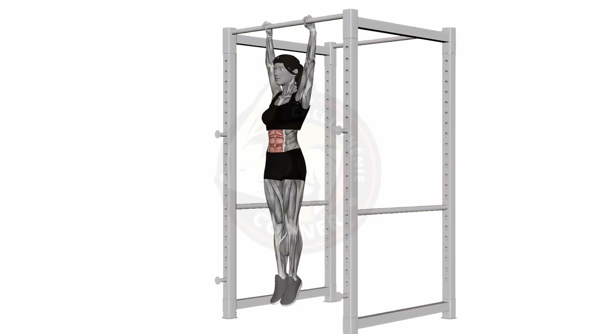 Animation des relevés de jambes suspendus à la barre