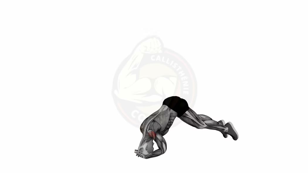 Animation du headstand - équilibre sur la tête en callisthénie