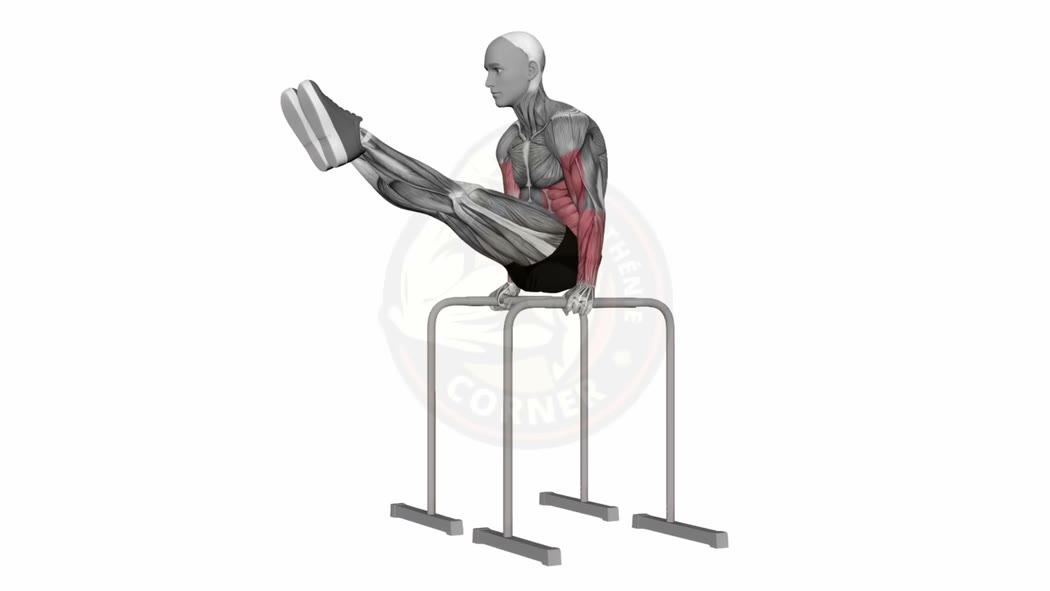 Animation du L-sit - figure de callisthénie en compression