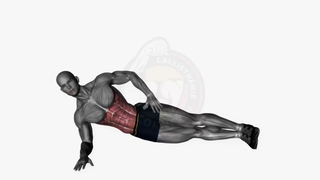 Animation de la planche latérale pour les muscles obliques