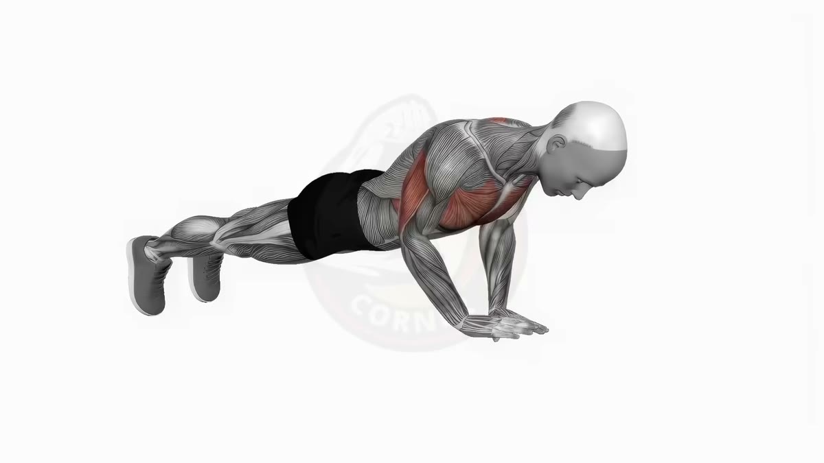 Animation des pompes diamants pour cibler les triceps
