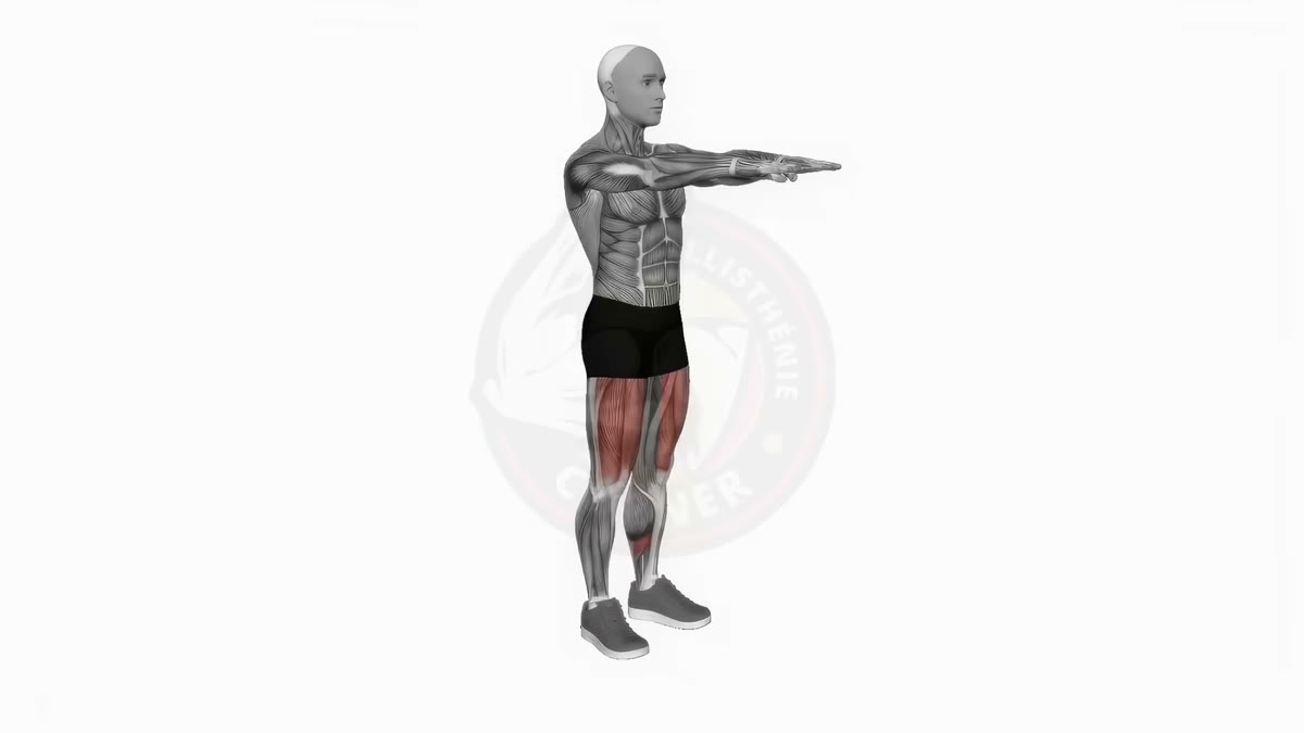 Démonstration animée : squats
