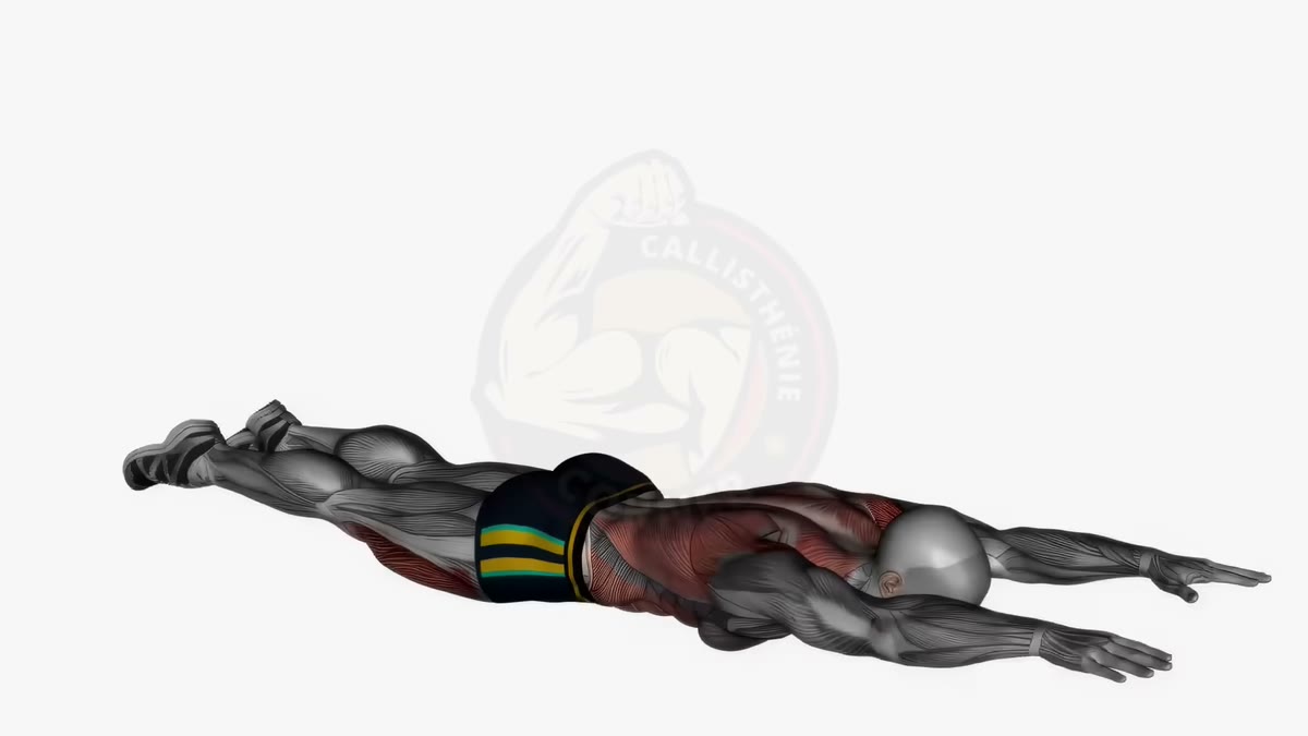 Animation du superman hold - renforcement des lombaires et du dos