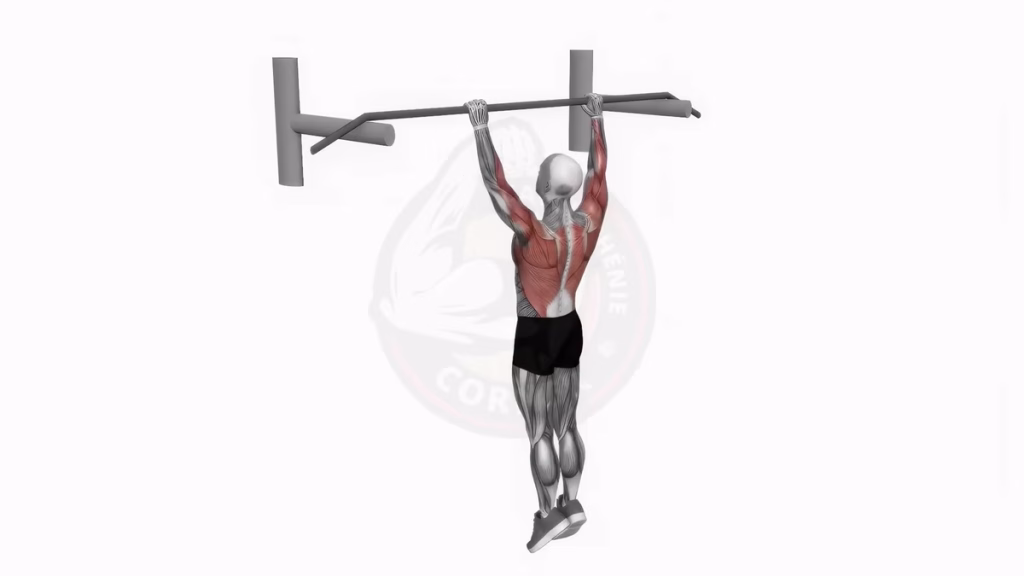 tractions archer