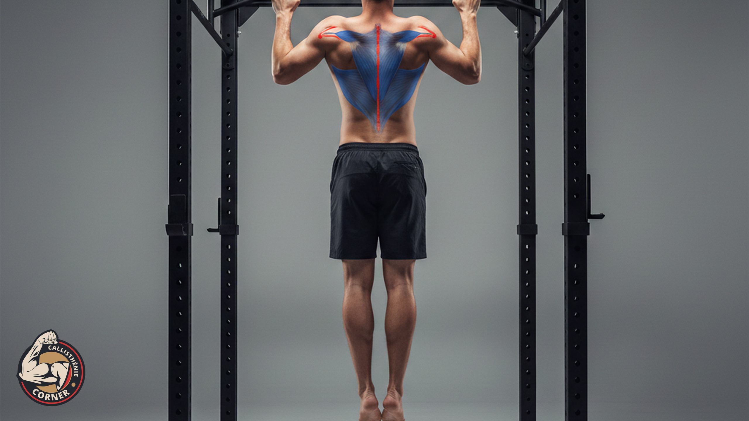 Tractions scapulaires : renforce tes omoplates avant de progresser en tractions